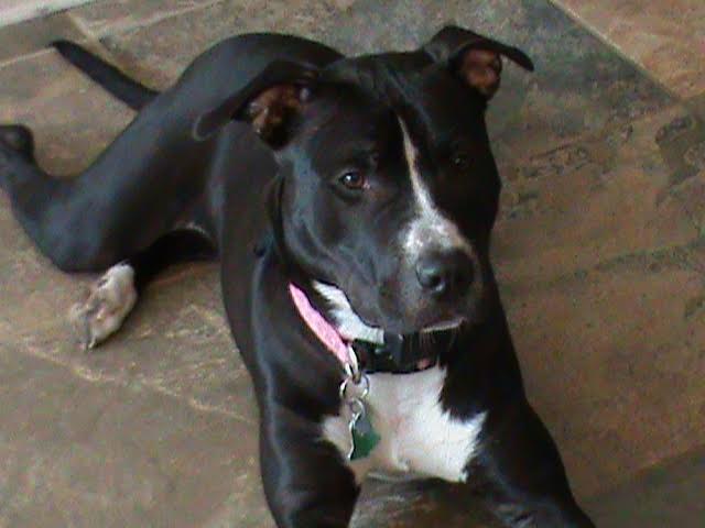 Bella